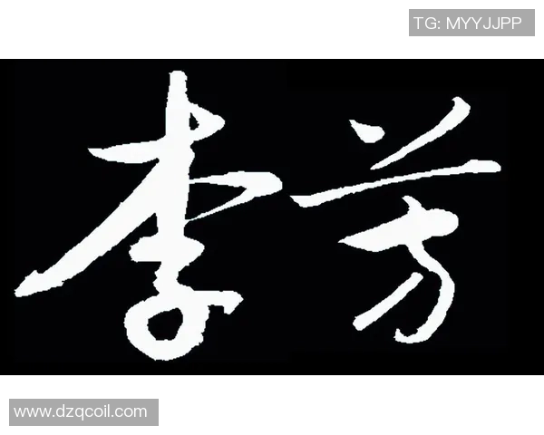 李芳独家分享排球技巧与心得助你提升球技的秘诀与经验