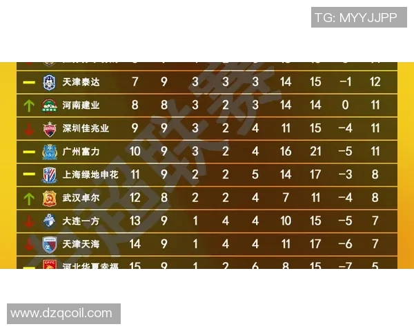 武汉排球队在钻石联赛中以62分稳居积分榜首位 武汉排球队在钻石联赛中以62分稳居积分榜首位