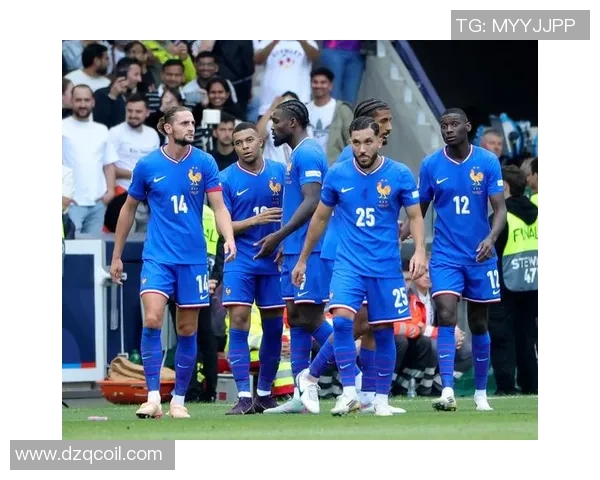 法国足球明星bizd的传奇之路与辉煌成就全解析