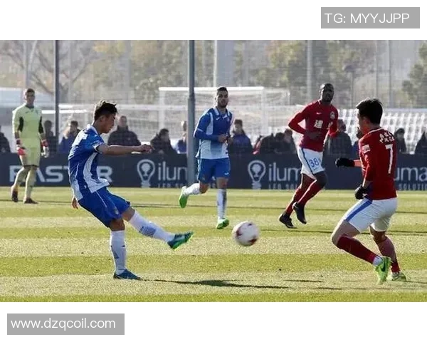 西安羽毛球队在世界杯中的个人能力表现深度分析与点评