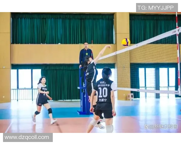 排球纪实：记录南京排球队的逆袭之旅