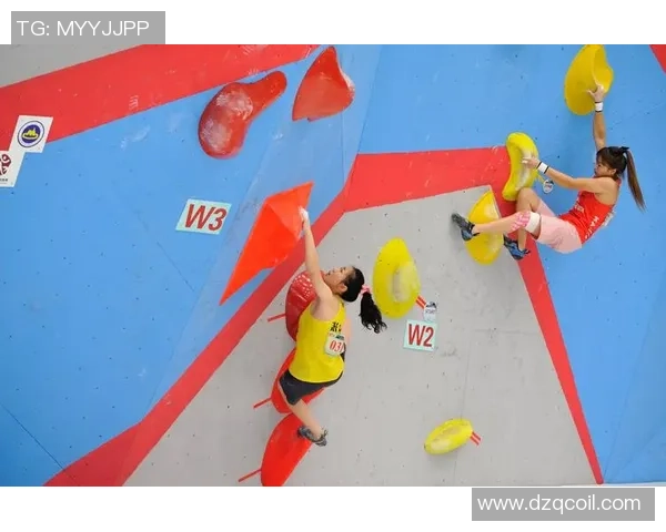 攀岩联赛点评：武汉飞盘队的战术表现