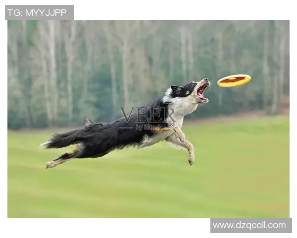 飞盘热点：解读南京飞盘队的控制